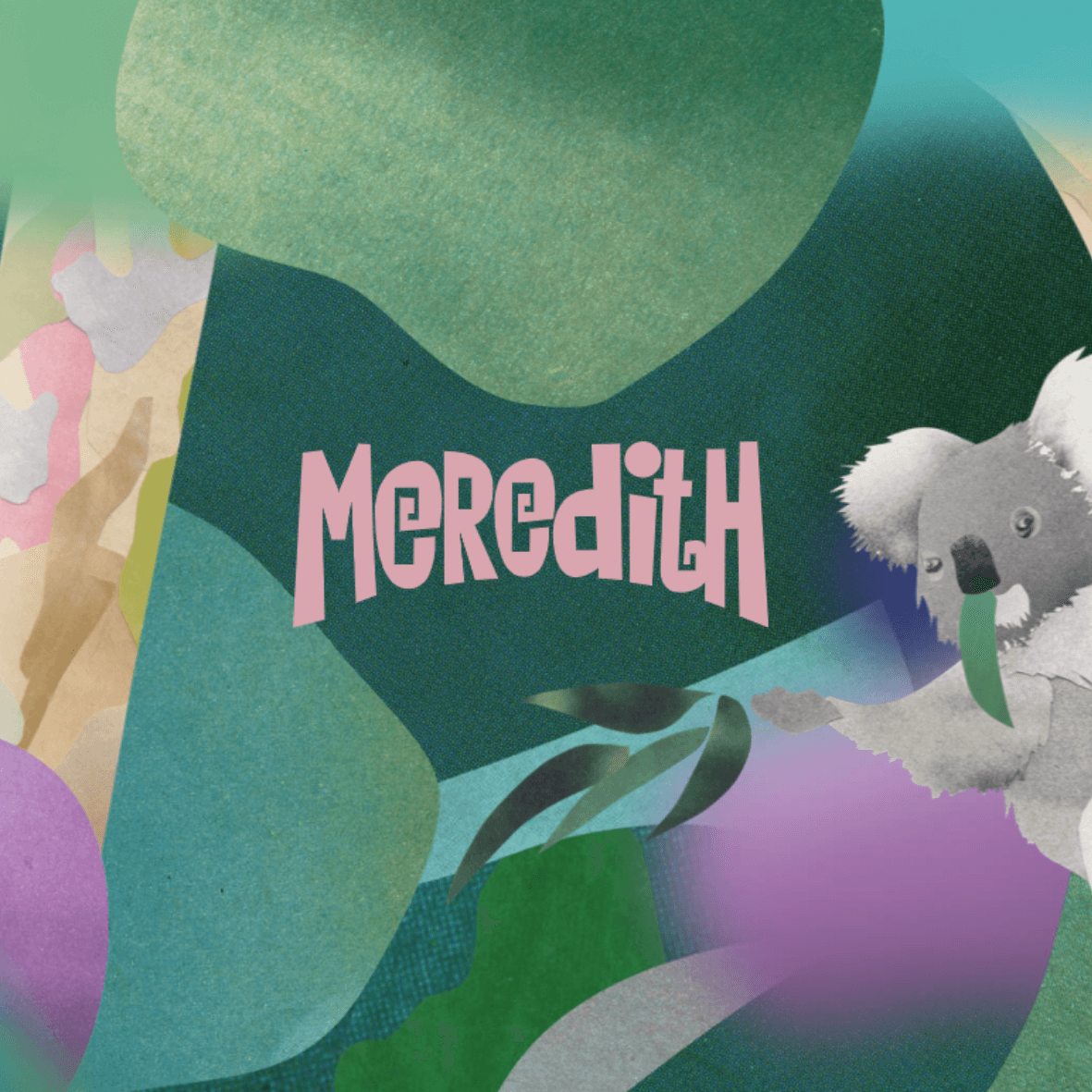 Meredith Festival