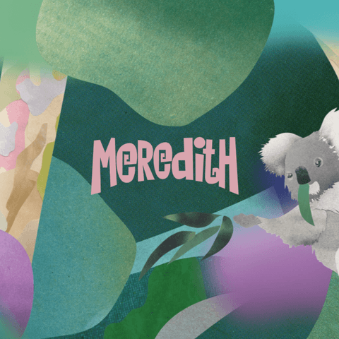 Meredith Festival